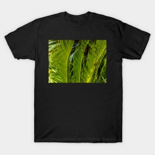 Sago Palm T-Shirt